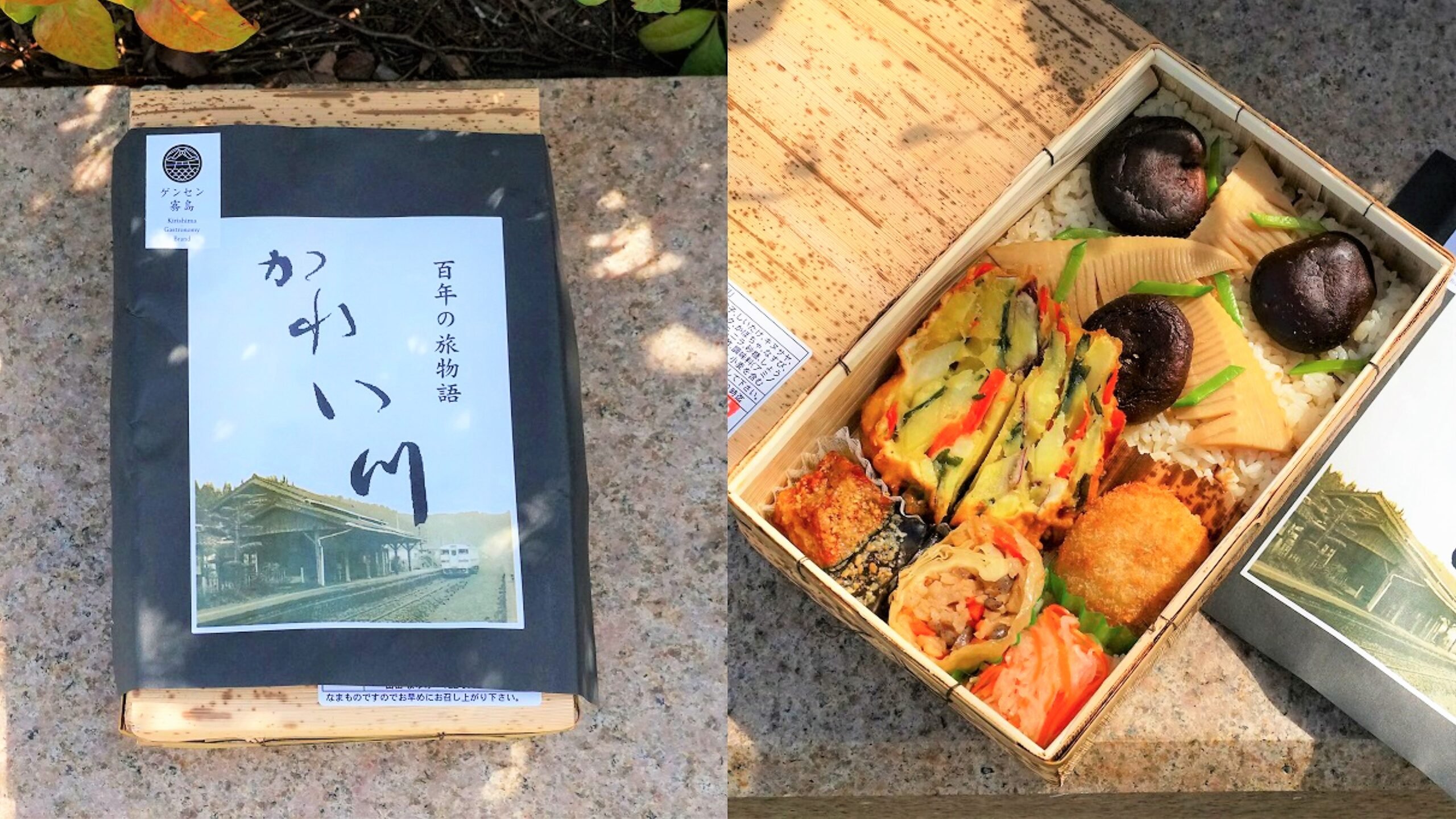 🚂 카레이가와 역 이미지 4